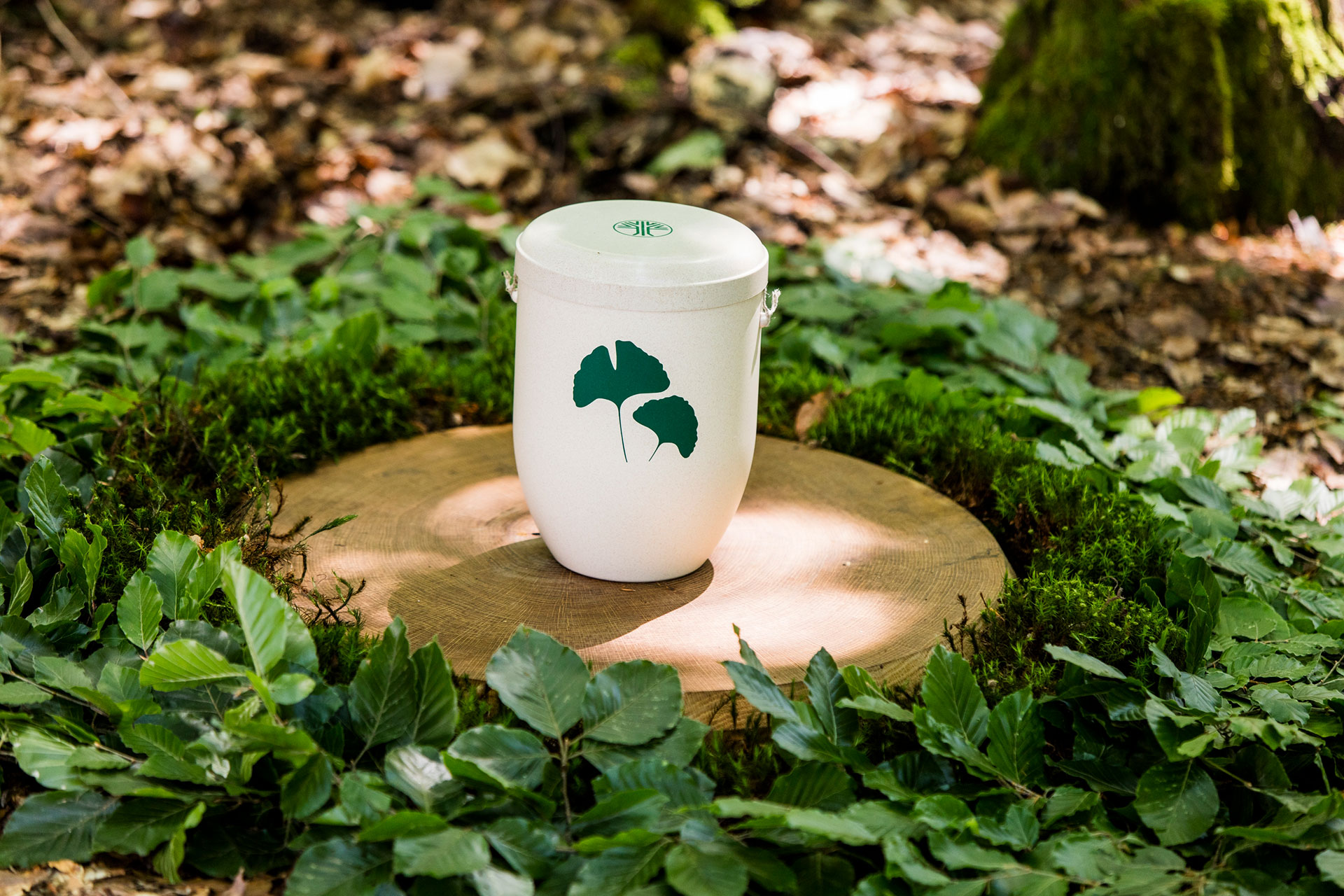 Urne im Wald bei Friedwaldbestattung